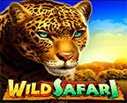 Wild Safari